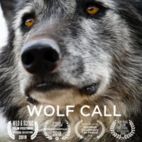 Wolf Call FNMC2022