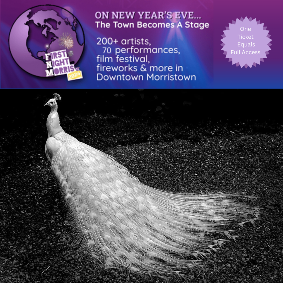 All Evening Art Gallery (Upstairs) All Evening Art Gallery (Upstairs)