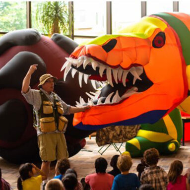 Dinoman Dinosaurs!