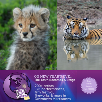 All Evening Starlight Gallery: Walk on the Wild Side at First Night Morristown, December 31, NJ